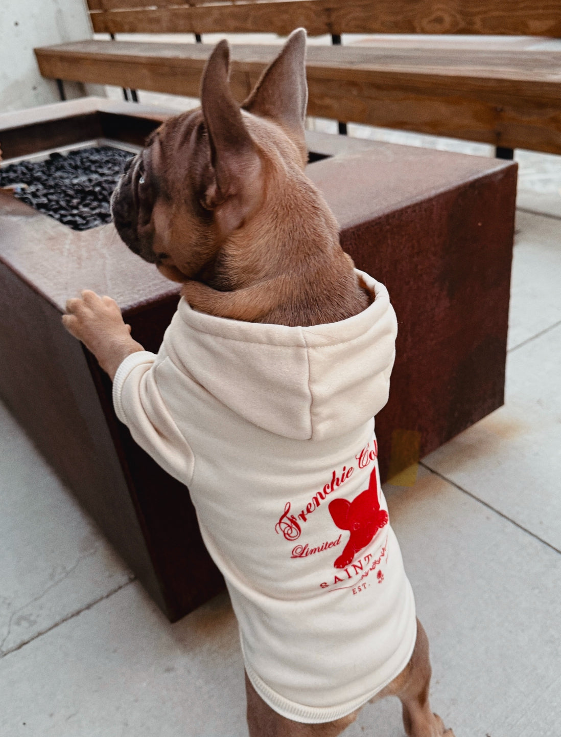 Beige Frenchie Hoodie